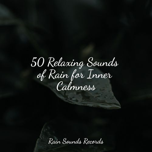 50 Relaxing Sounds of Rain for Inner Calmness