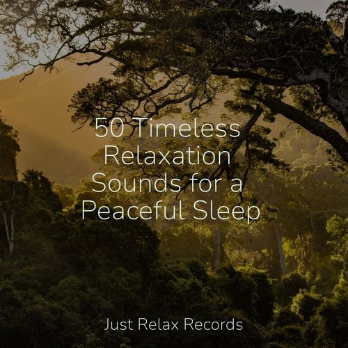 50 Timeless Relaxation Sounds for a Peaceful Sleep