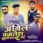 Anil Kamlesh Tamari Yaad Rahi Gai