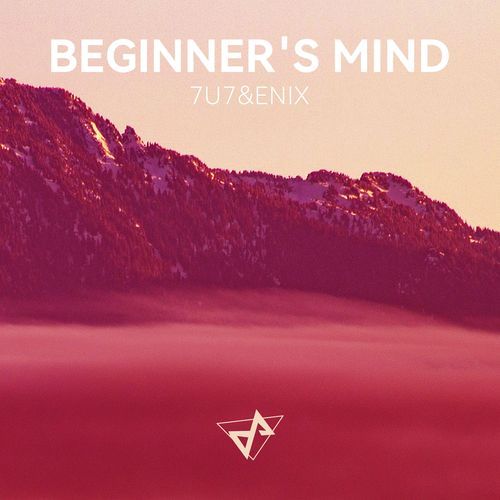 Beginner's Mind
