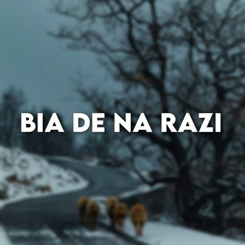 Bia De Na Razi