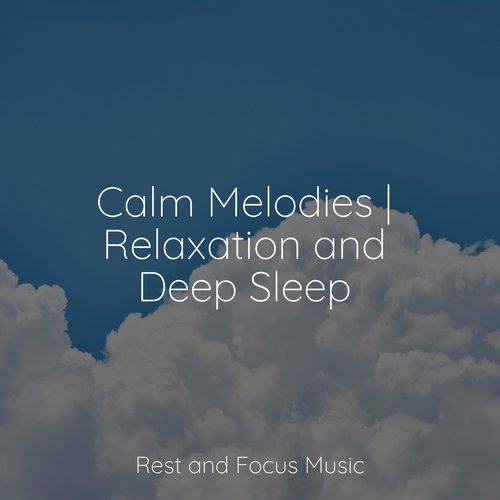 Calm Melodies | Relaxation and Deep Sleep