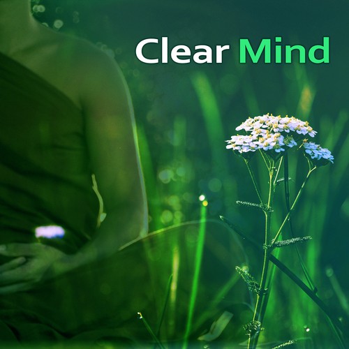 Clear Mind – Music for Meditation, Yoga Training, Deep Concentration, Restful Sleep, Peaceful Mind