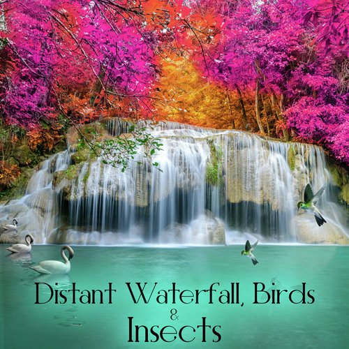 Distant Waterfall, Birds & Insects