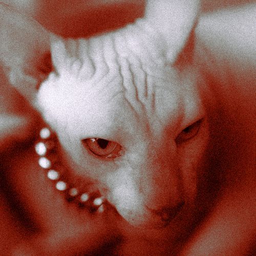 Players 2.0 (Remix) cover art