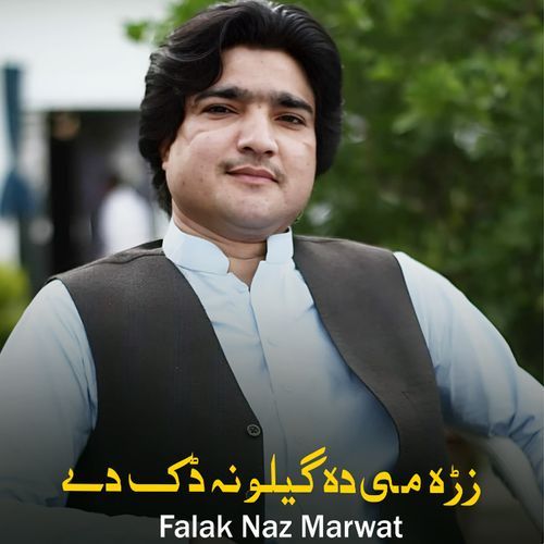 Falak Naz Marwat