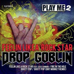 Feeling Like A Rock Star