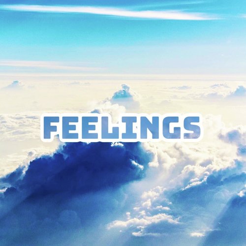 Feelings
