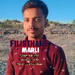 Filisthane Marli