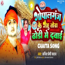 Gopalganj Ke Gehu Tora Dhodhi Me Dawai (Chaita Song)-BAUvXxsAcXc