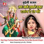 Ham Aaye Tumhare Dware Darshan De Do Maa Bundeli Bhajan