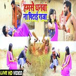 Hamse Dhanwa Na Pitai Raja