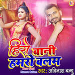 Hero Bani Humro Balam