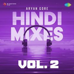 Hindi Mixes Vol. 2