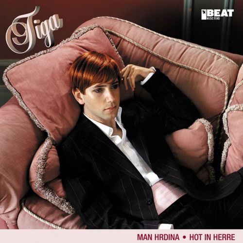 Hot in Herre (Gareth Gatex Instrumental) cover art