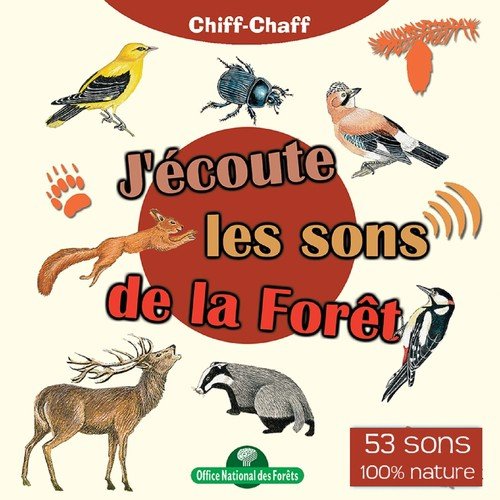 Tourterelle des bois cover art