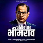 Krantich Naav Bhimrao
