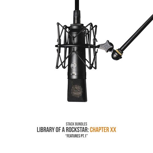 Library of a Rockstar: Chapter 20 - Features, Pt. 1