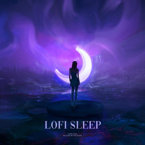 Lofi Sleep_poster_image