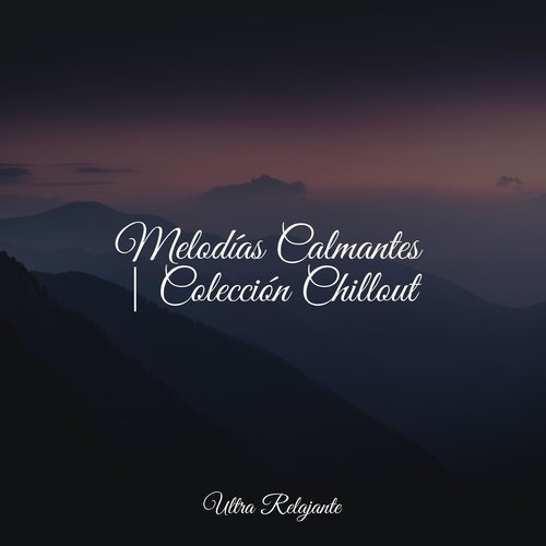 Canciones De Cuna cover art