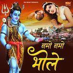 Bhagat Laga Rahe Ganga Me Gota