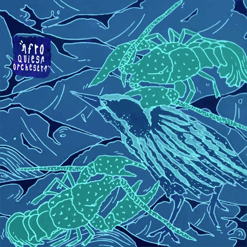 Padula Rasa cover art