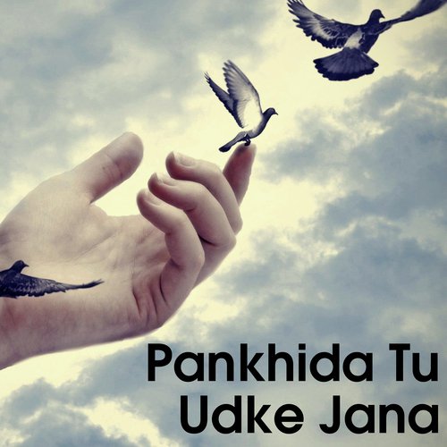 Pankhida Tu Udke Jana_poster_image