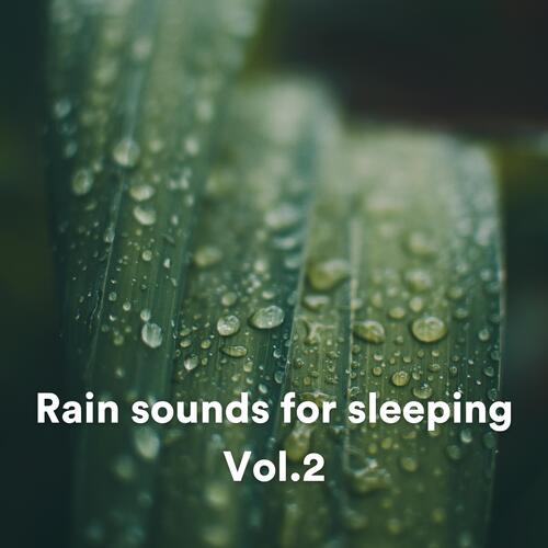 Rain sounds for sleeping, Vol. 2_poster_image