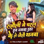 Rajauli Me Paral Hav Namwa Utha Ke Le Jaitau Thanwa
