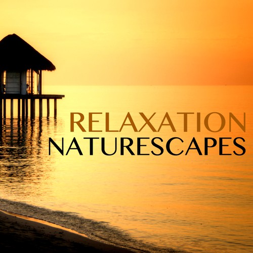 Mindfulness Meditation cover art