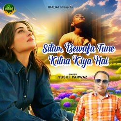 Sitam Bewafa Tune Kitne Kiya Hai-Hhg6aR1EfHI