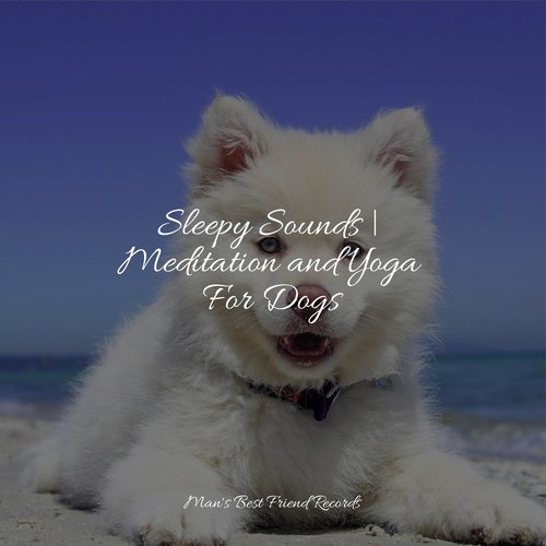 Sleepy Sounds | Meditation and Yoga For Dogs_poster_image