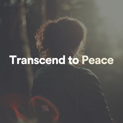 Transcend to Peace