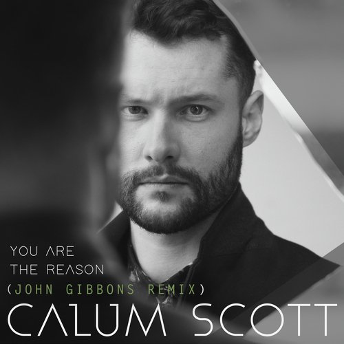 You Are The Reason (John Gibbons Remix)_poster_image