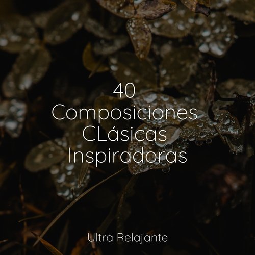 40 Composiciones CLásicas Inspiradoras_poster_image