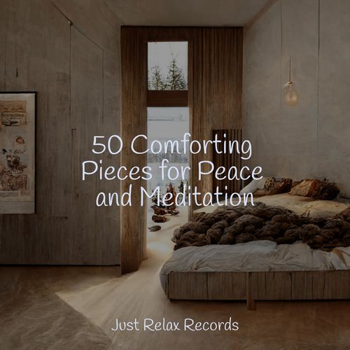 50 Comforting Pieces for Peace and Meditation_poster_image