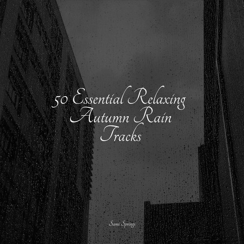 50 Essential Relaxing Autumn Rain Tracks