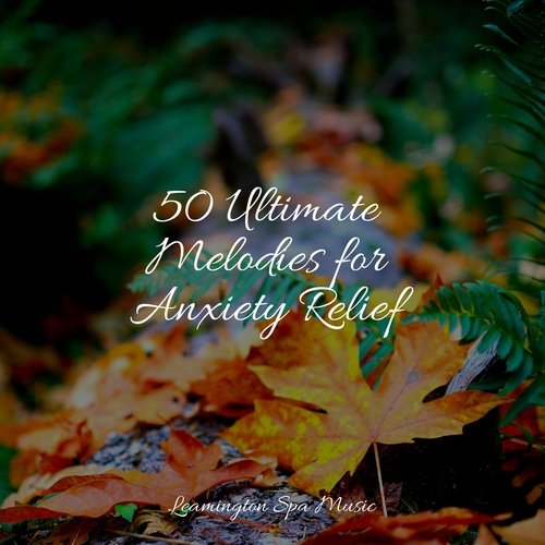 50 Ultimate Melodies for Anxiety Relief