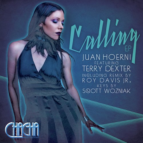 Calling (feat. Terry Dexter)