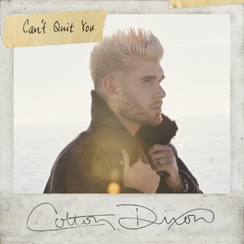 Can&#039;t Quit You (Single Version)_poster_image