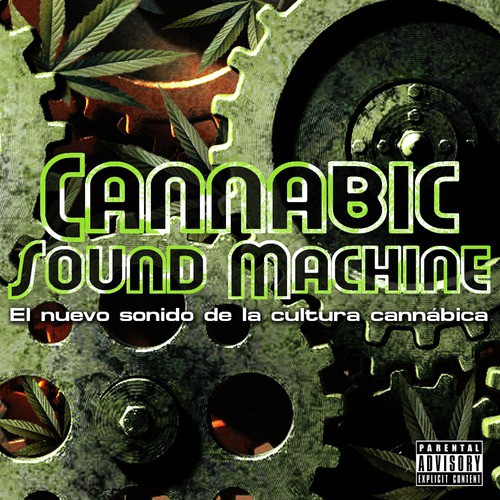 Cannabic Sound Machine_poster_image