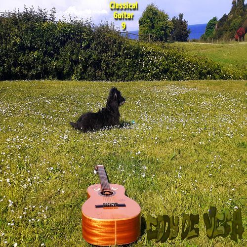 Classical Guitar, Vol. 9