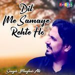 Dil Mein Samaye Rahte Ho