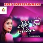 Dil Tod Diya (Hindi)