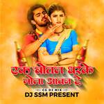 Ek Botal Dharake Mola Aavan De (Remix)