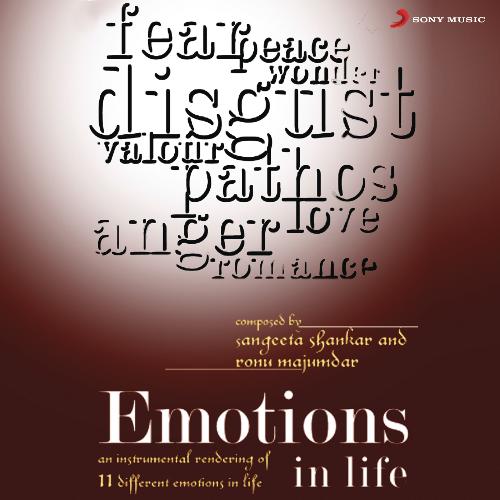 Emotions in Life