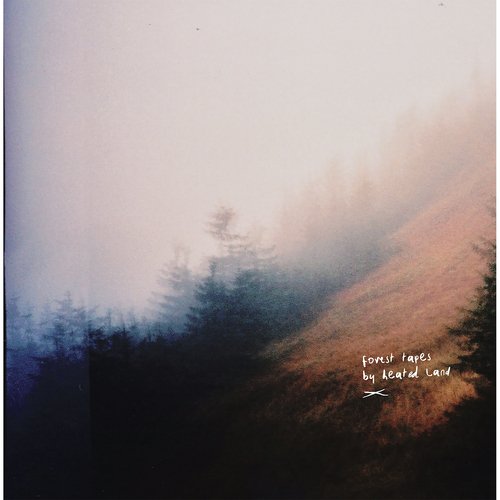 Rye Fields (Tape Version) cover art
