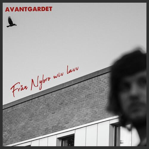 Ställ Inga Frågor cover art