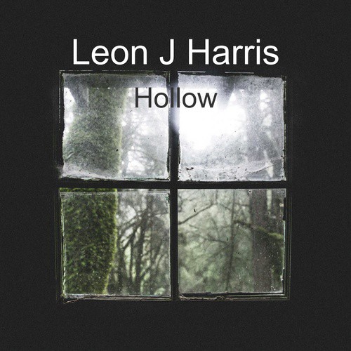 Hollow cover art