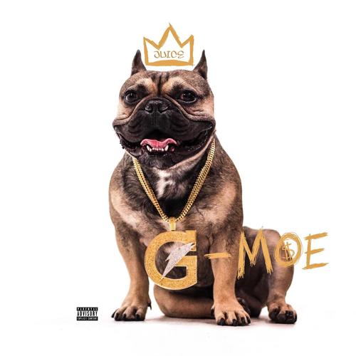 Last Flight cover art